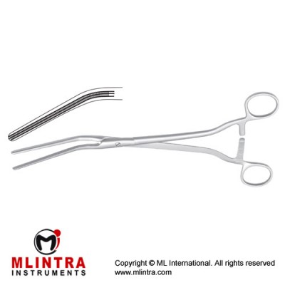 Dick Atrauma Vaginal Clamp Angled Stainless Steel, 25.5 cm - 10" 